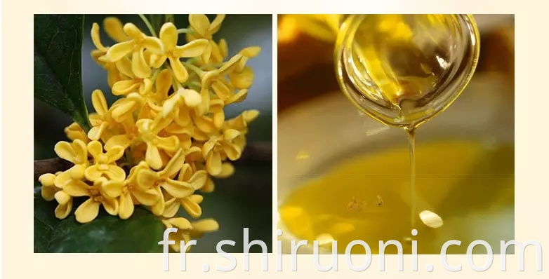 Osmanthus fragrans Lour